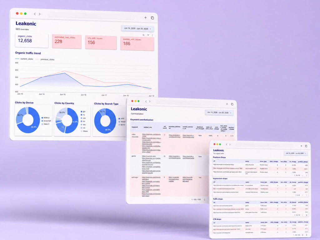 leakonic premium seo analysis